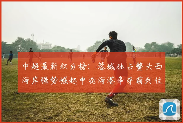 中超最新积分榜：蓉城独占鳌头西海岸强势崛起申花海港争夺前列位置