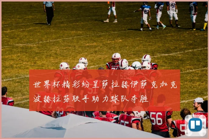 世界杯精彩纷呈萨拉赫伊萨克加克波赫拉芬联手助力球队夺胜